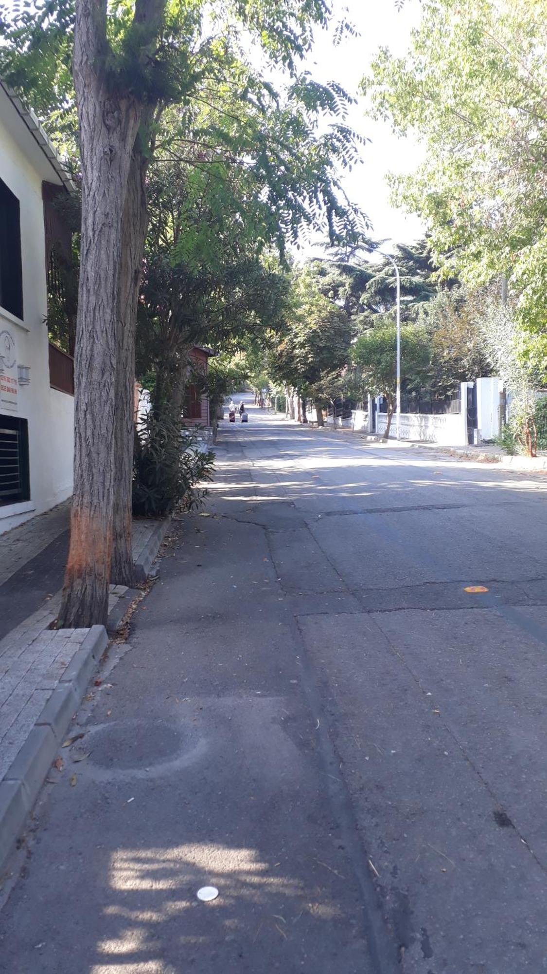 Orhan Kutbayin Evi Adalar Bilik gambar