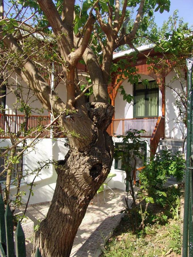 Orhan Kutbayin Evi Adalar Luaran gambar
